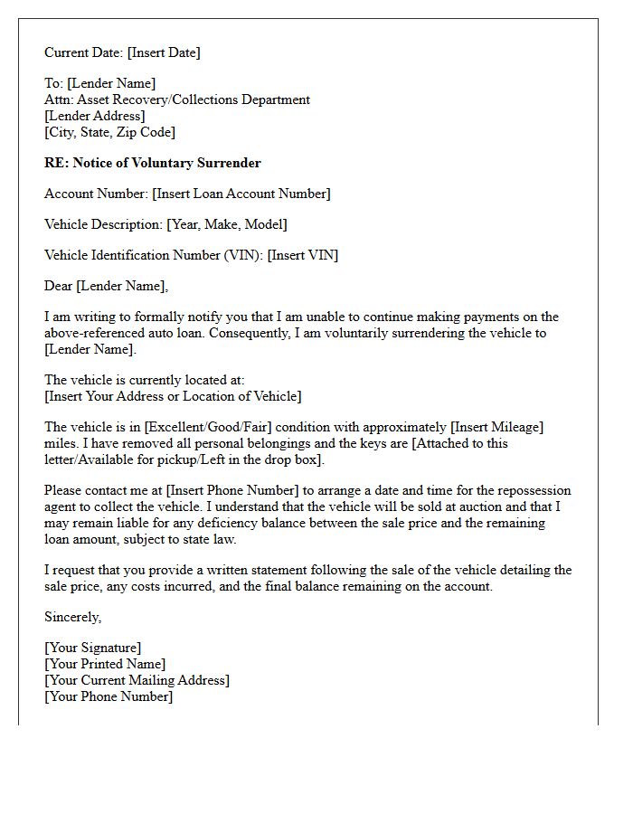 Voluntary Surrender Auto Loan Option Letter