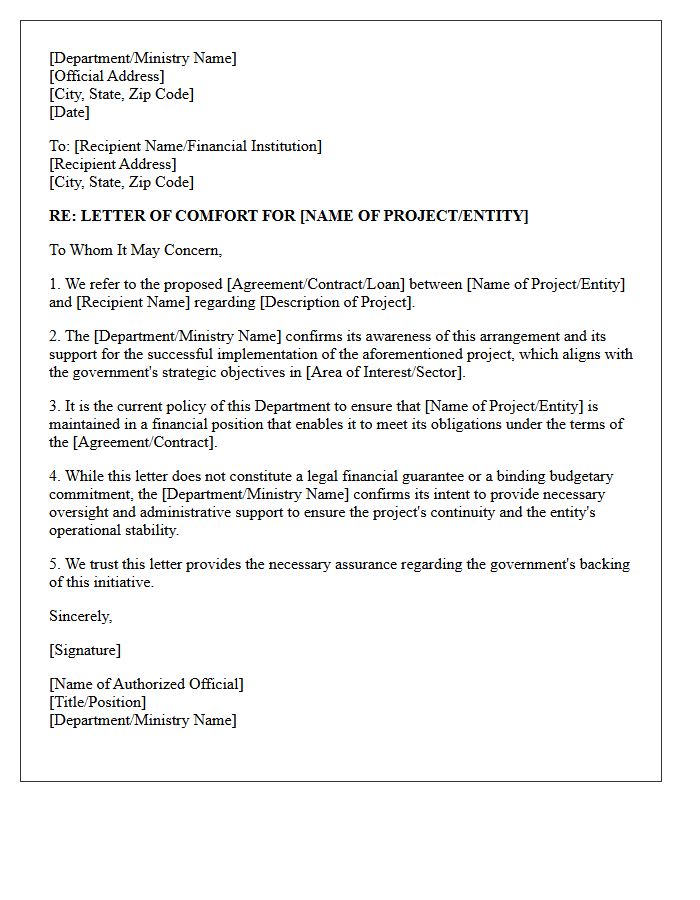 Government Sponsorship Backing Comfort Letter
