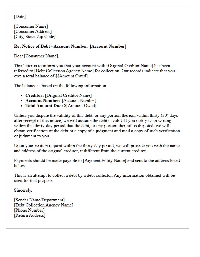 Initial Consumer Debt Notification Letter