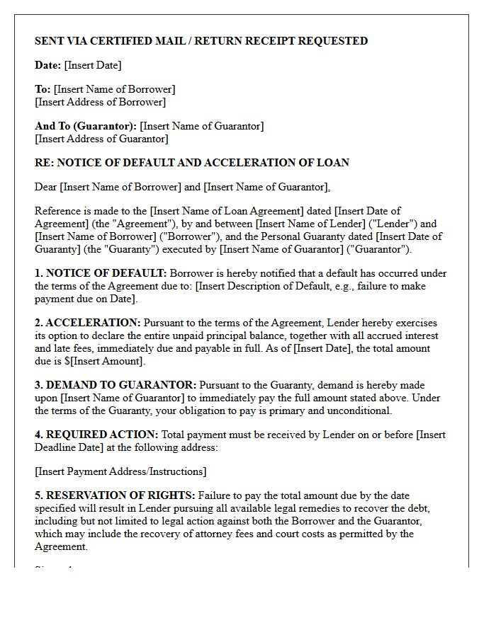 Notice of Loan Default and Guarantor Acceleration Letter