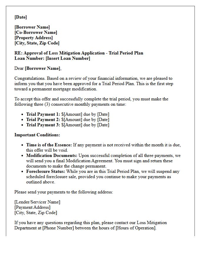 Loss Mitigation Approval and Trial Period Plan Letter