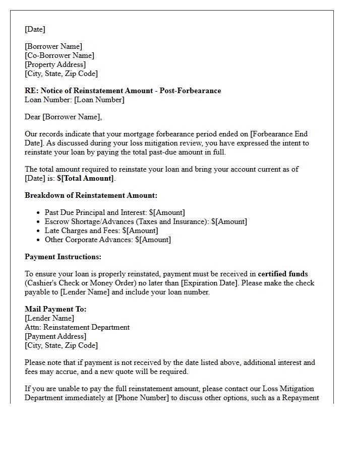 Loss Mitigation Post-Forbearance Reinstatement Amount Letter