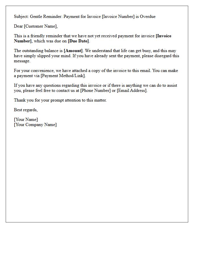 Gentle First Reminder Payment Letter