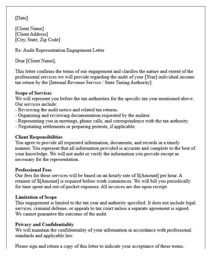 Individual Tax Return Preparation Audit Representation Engagement Letter