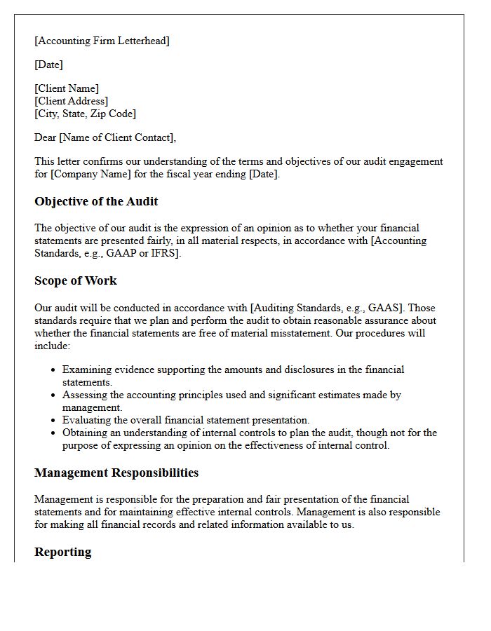 Scope of the Accounting Firm Audit Letter