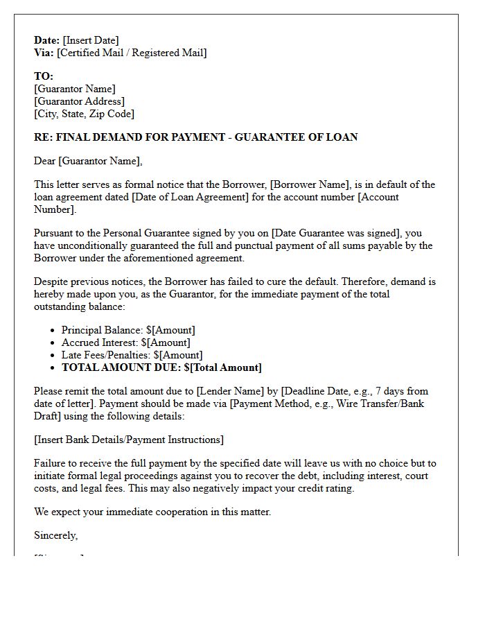 Final Demand Letter for Guarantor Payment on Defaulted Loan