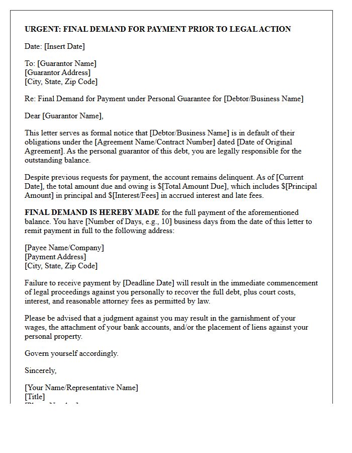 Notice of Intent to Sue Final Demand Letter to Guarantor