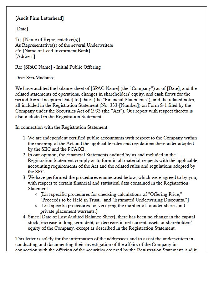 Special Purpose Acquisition Company Pricing Comfort Letter