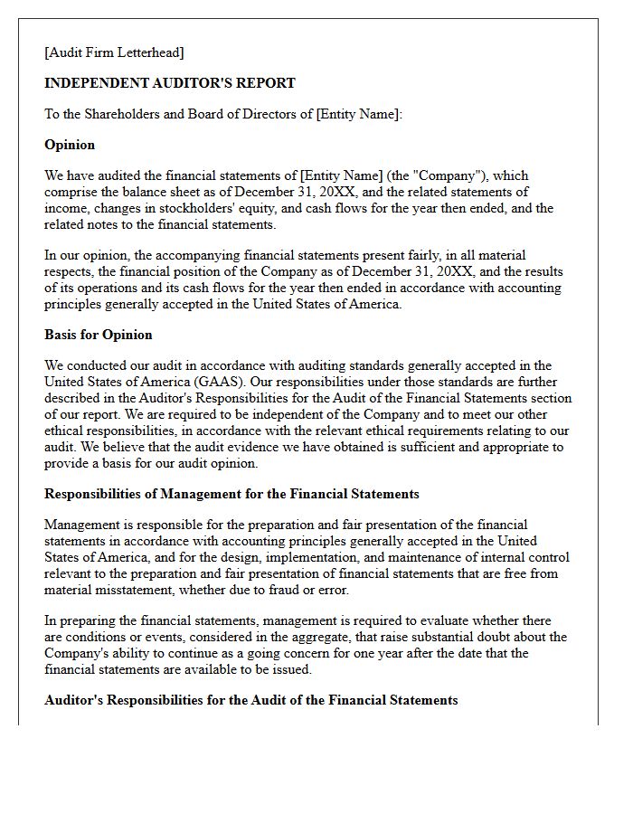 Private Entity Unqualified Audit Opinion Letter