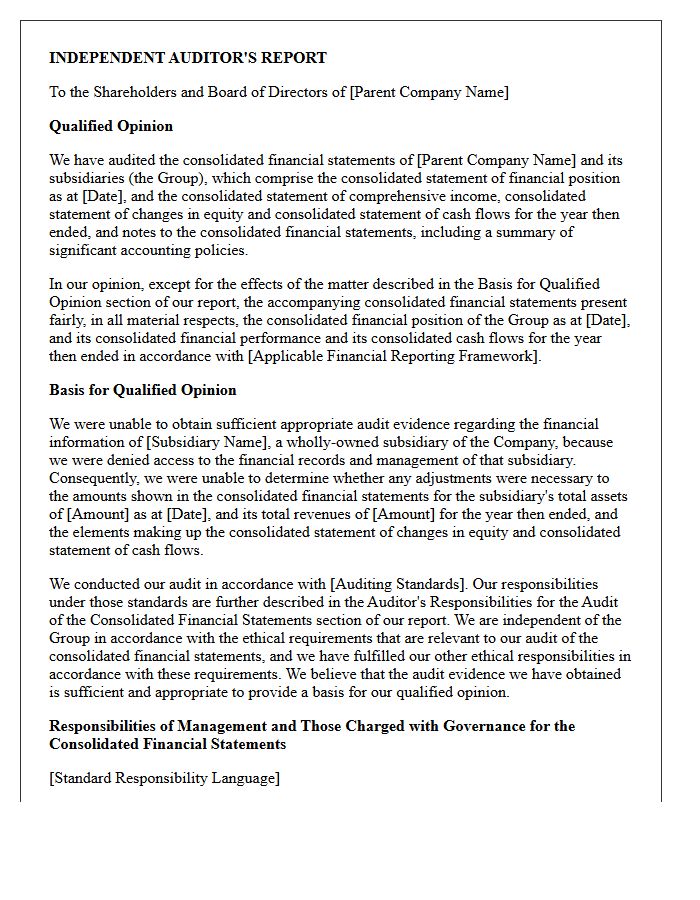 Qualified Audit Opinion Letter Due to Missing Subsidiary Financial Records