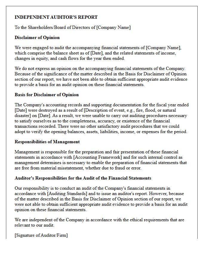 Destroyed Financial Records Disclaimer of Opinion Letter