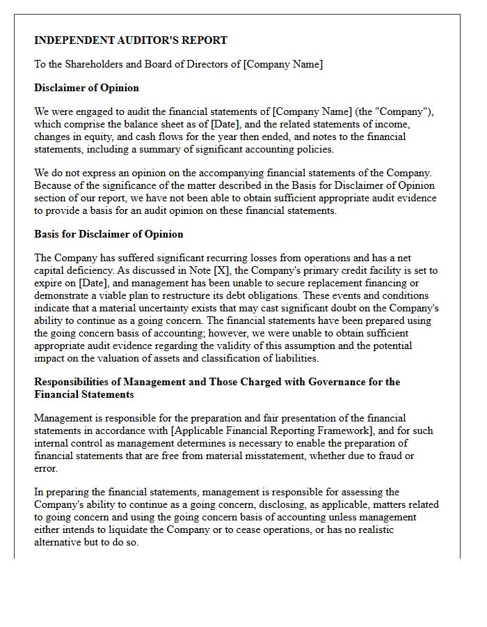 Disclaimer of Opinion Letter Regarding Going Concern