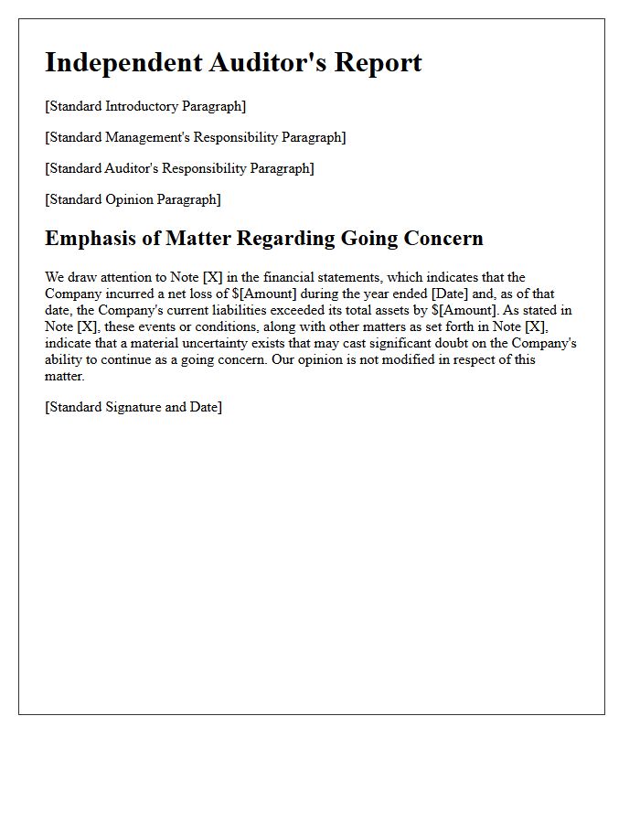 Going Concern Explanatory Paragraph Audit Letter
