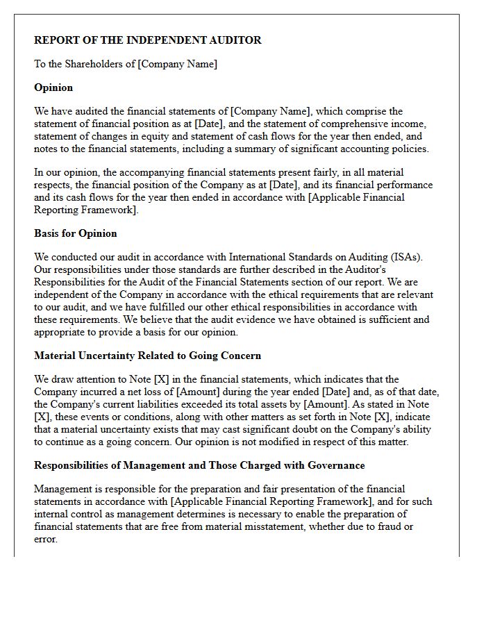 Independent Auditor Going Concern Report Letter