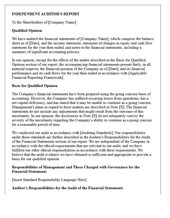 Qualified Opinion Letter Due to Going Concern