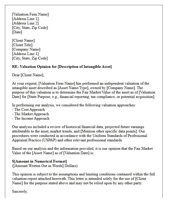 Intangible Asset Valuation Opinion Letter