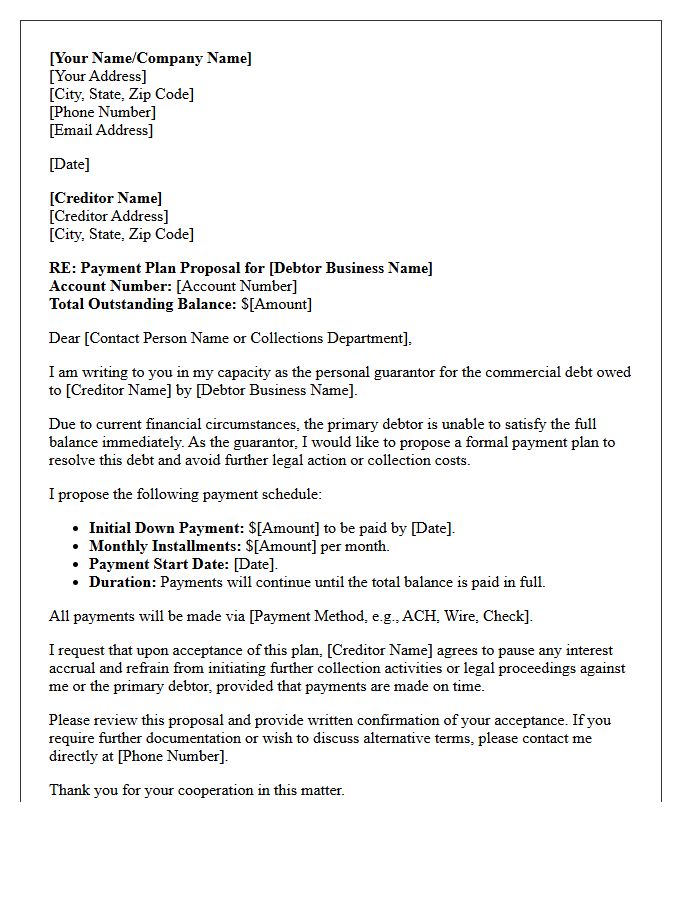 Commercial Debt Third-Party Guarantor Payment Plan Letter