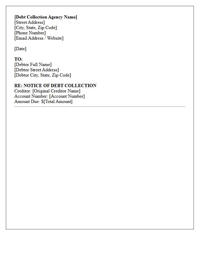 Debt Collection Agency Letter Header