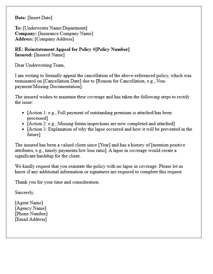 Agent to Underwriter Reinstatement Appeal Letter